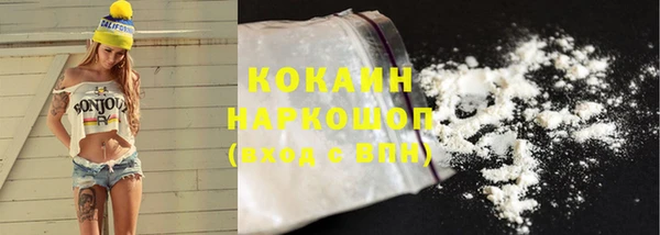 PSILOCYBIN Лагань